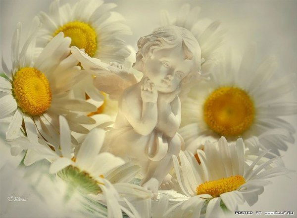 Анастасия Перверт