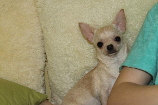 Надежда Артемьева