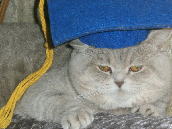 Сергей Мошков