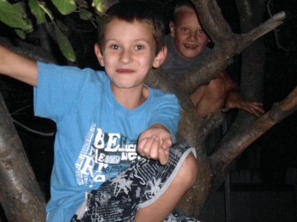 Александр Шелудько