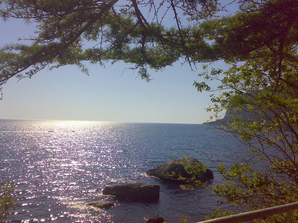 Славик Мельников