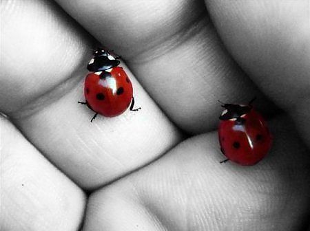 Наташенька !!!!!