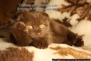 я ко всем отношусь хорошо. Смотреть фото я ко всем отношусь хорошо. Смотреть картинку я ко всем отношусь хорошо. Картинка про я ко всем отношусь хорошо. Фото я ко всем отношусь хорошо