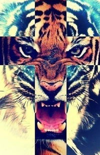 Алсу Файзуллина