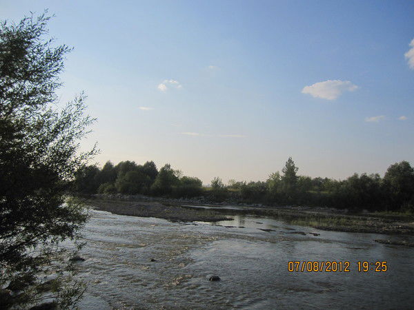 Наташа Соколова