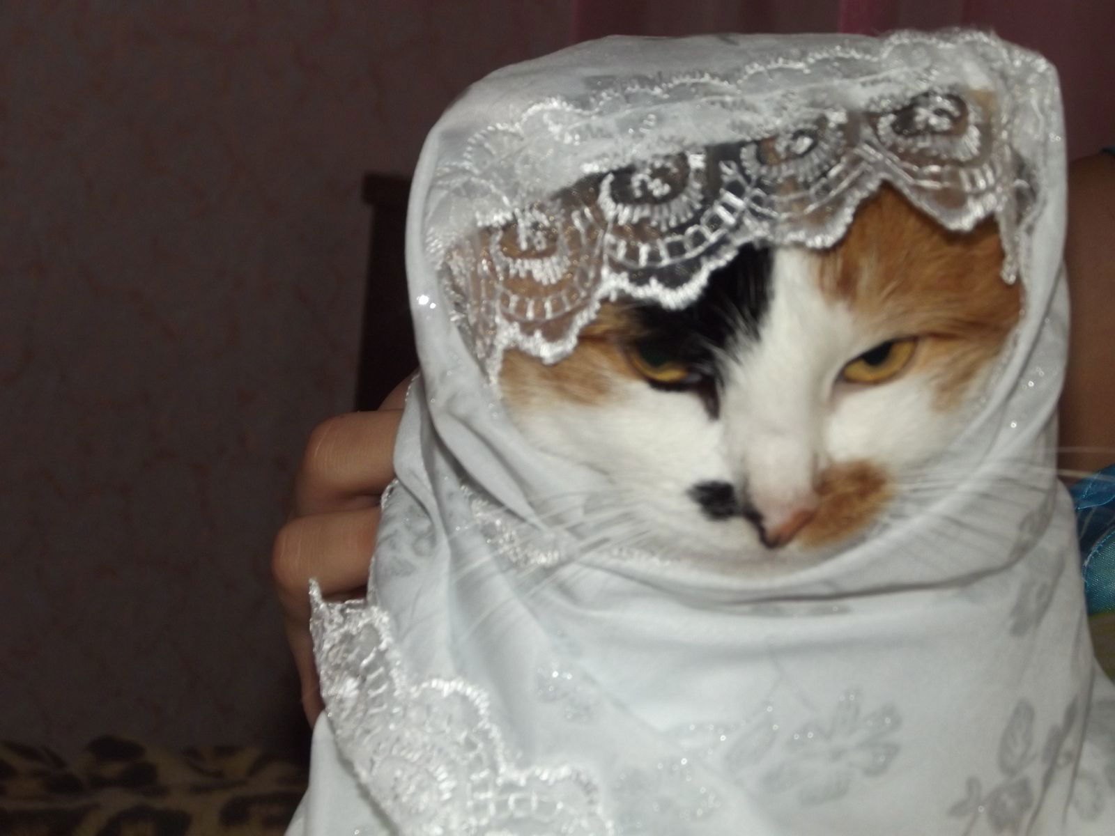 Рая (Рамиля)