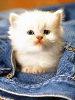 Алла Ильиных