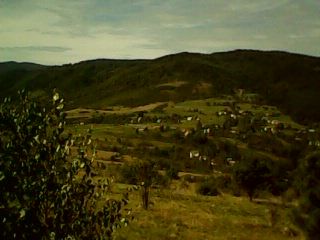 Володимир Марголич