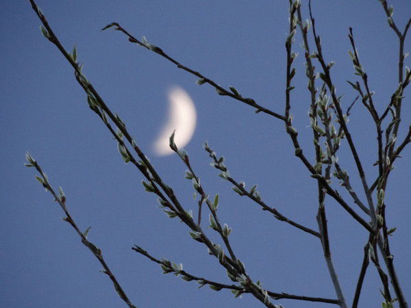 Александр М