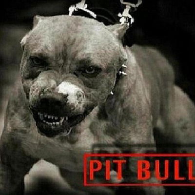 Алексей Кривошеин