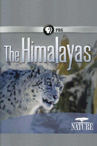 Евгений Брюховецкий