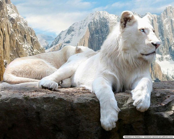 Татьяна Немчикова