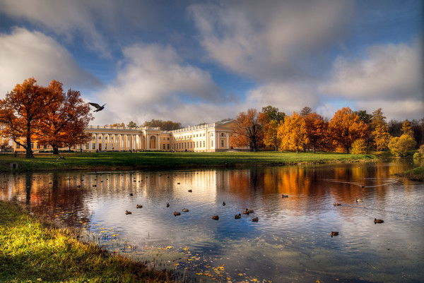 Наталья Павлинова