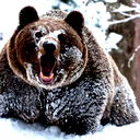 Неизвестно Неизвестно