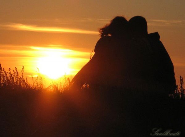 Елена Николаева