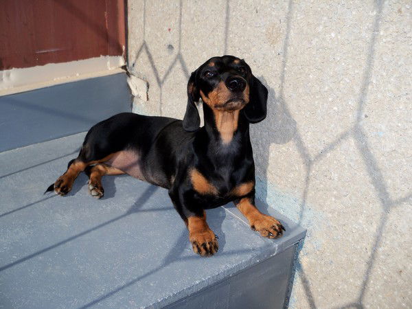 Валерий ******