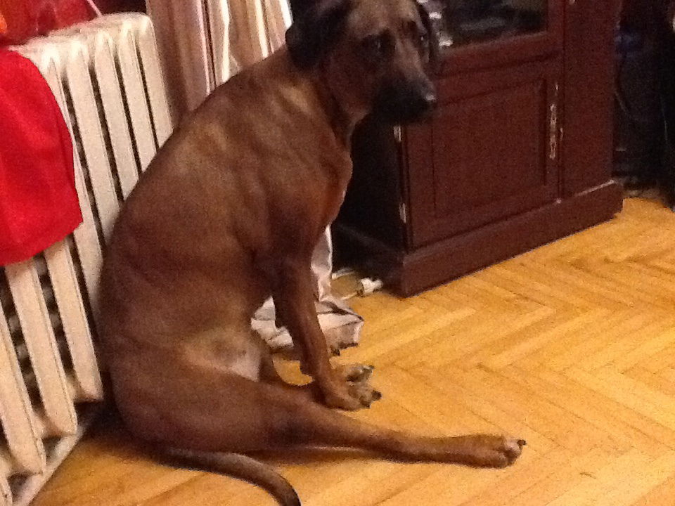 Михаил Литвинов