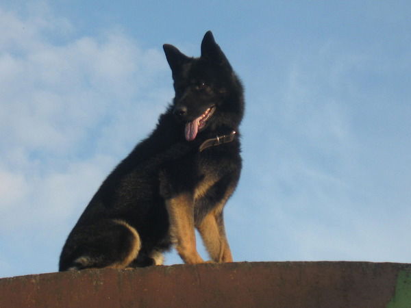 Вера Кривоухова