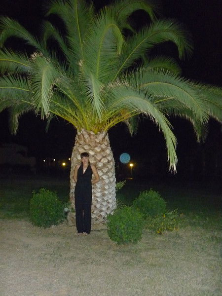 Светлана Дорофеева