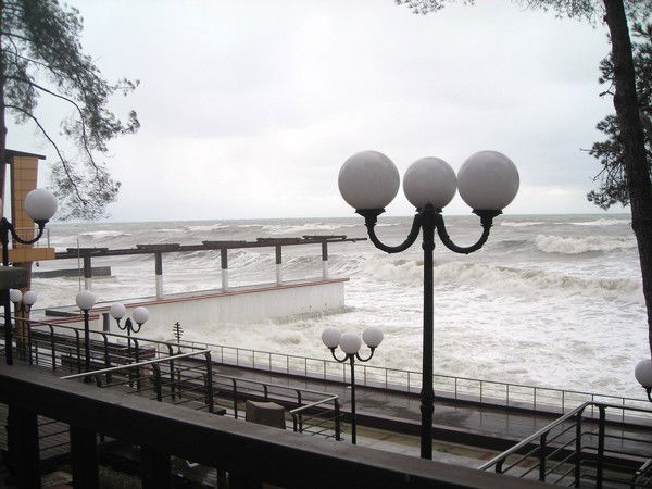 Наталья Мусина