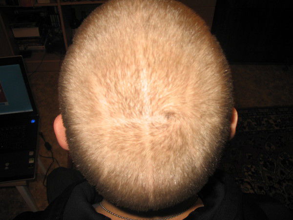 Максим Коровченко