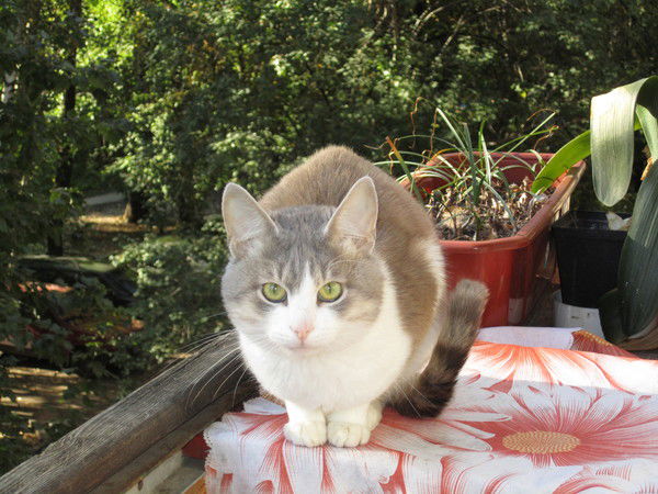 Ольга Иванова