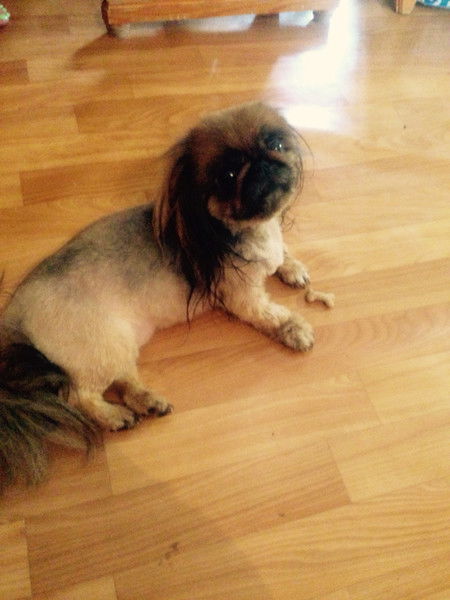 Семён Дуюнов