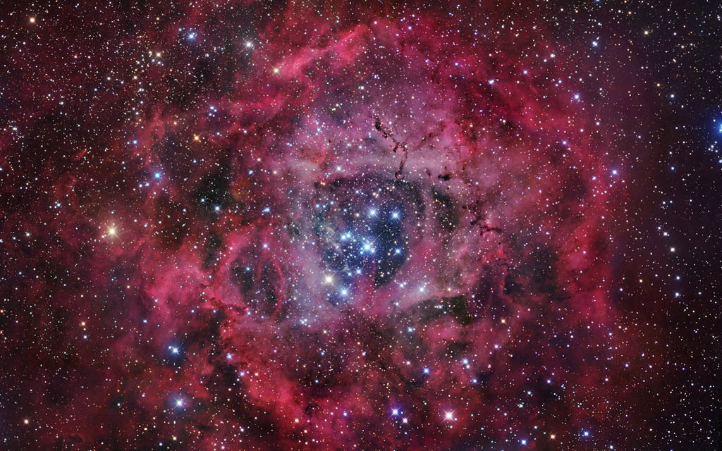 Виктория Калугян