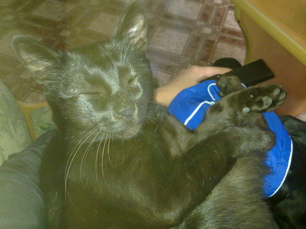 Гелена Нигматуллина