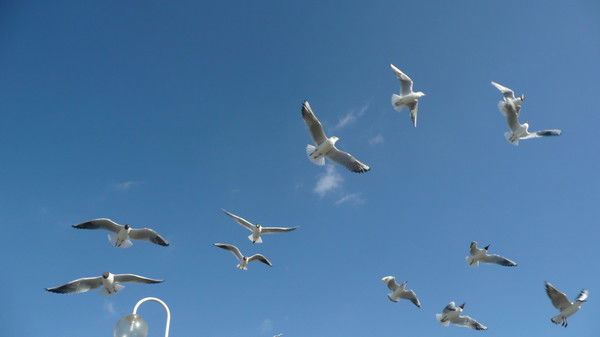 Мария Кулешова