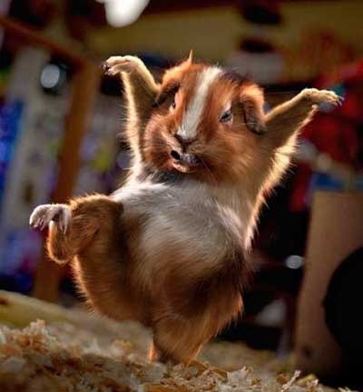 Руслан Рустамов