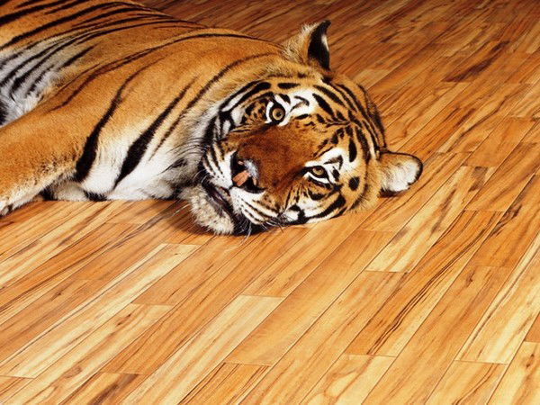 Надежда Дымченко