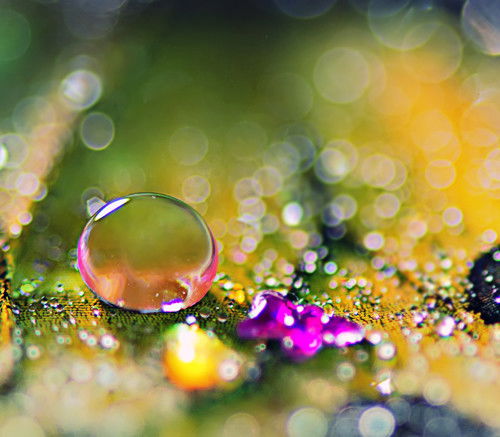 Эльмира Бакулина