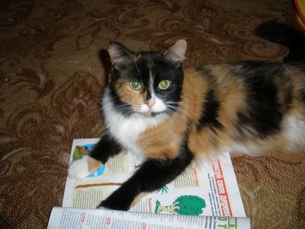 Зина Семенова