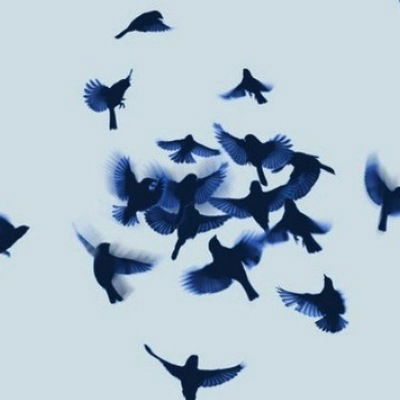 Алина Нургалиева