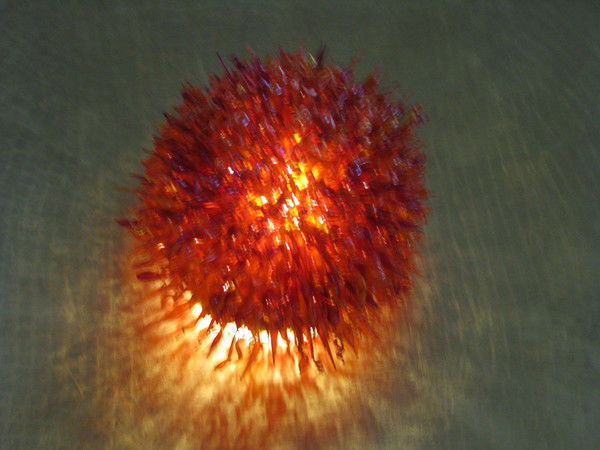 Любовь Панюшина