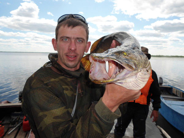 Андрей Костин