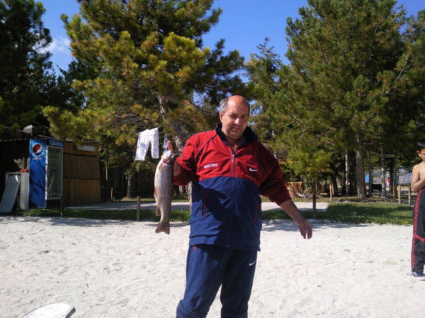 Шота Сократов