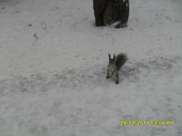 Антон Юлдашев