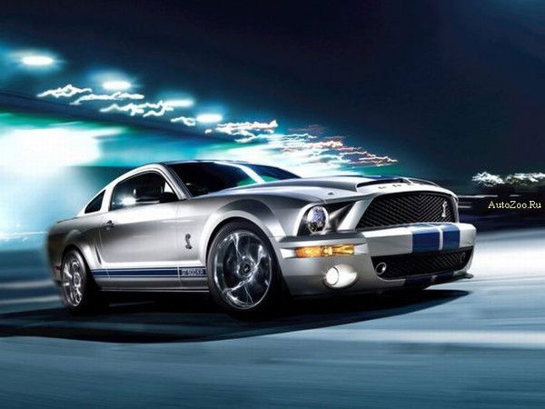 Дима Зинченко