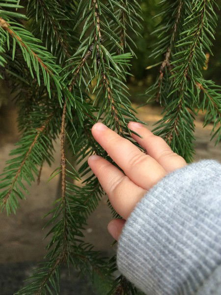 Таня Исакова