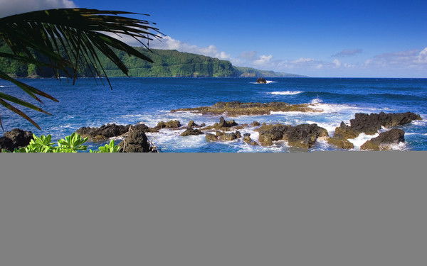 Анар Найзагарова