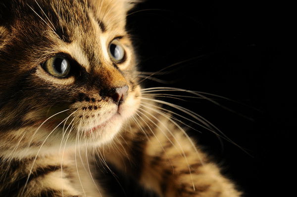 Наталья Андреева