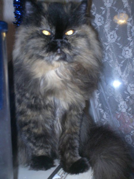 Оля Казакова