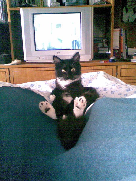 Юрий Гуменный