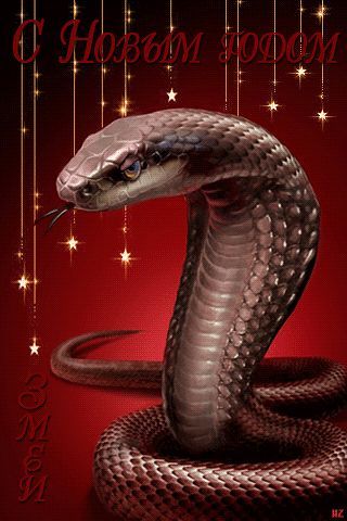 Сергей Девицин