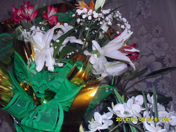 Зульфия Шамсутдинова