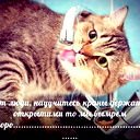 Витя Котов
