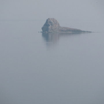 Алексей Шефер