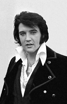 Elvis Elvisjvich